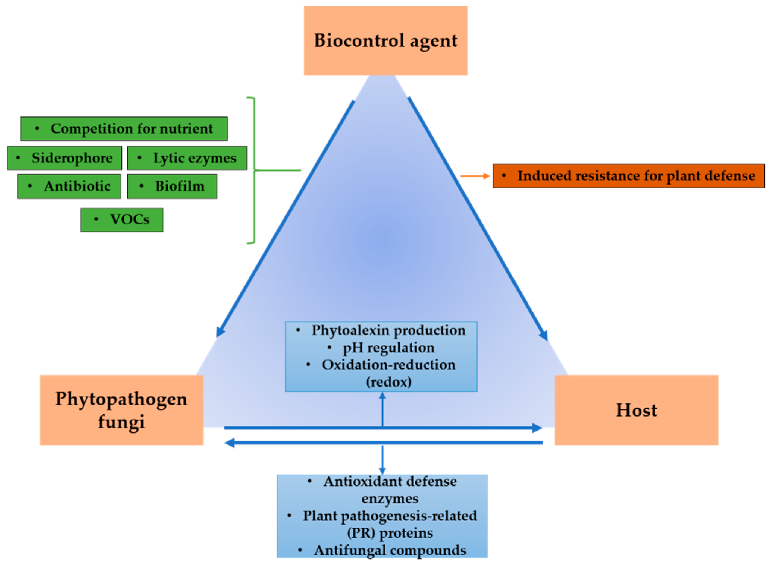 biocontrol agents against plant pathogens